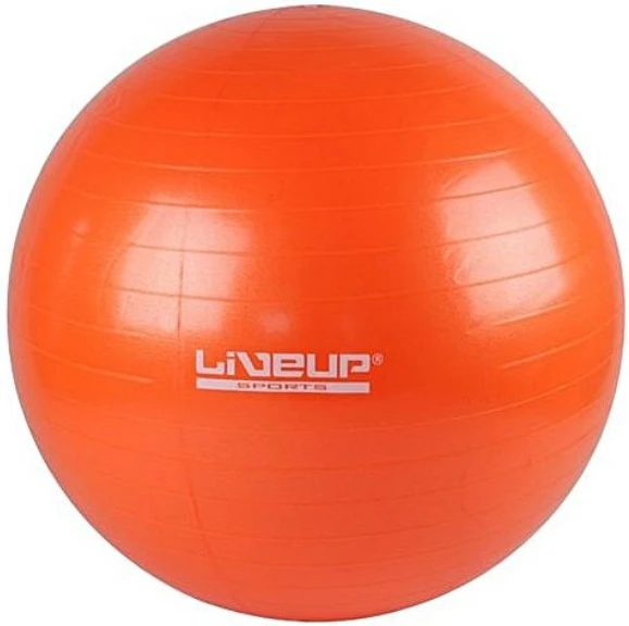 LIVEUP ANTI BURST BALL 65-OG